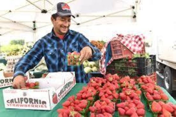 Weekly Farmers Market at City Center