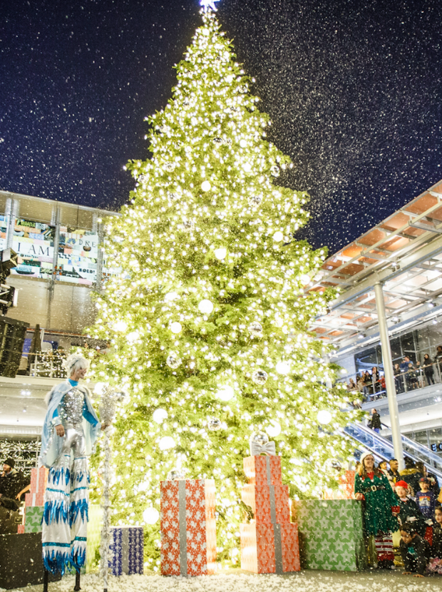 Holiday Tree Lighting